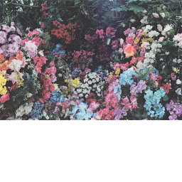 ₰ The Garden ₰