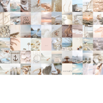 *+*Summer*+*