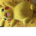 The Pokèmon Group