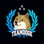 -Official Team Doge-