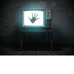 The Terror Maze