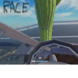Race icon