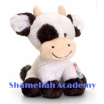 Shamellah Academy