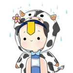 cow cow