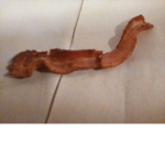 Bacon army bacon defeat all gender