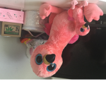 Flamingo Fren