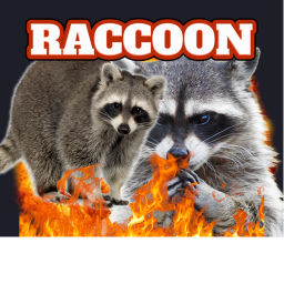 Explosive Raccoon