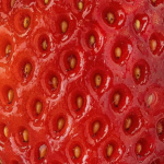Stawberry group Indonesian