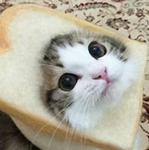 BreadToastham