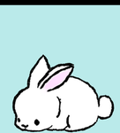 Conejo_sey_fans