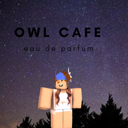 Owl Cafe