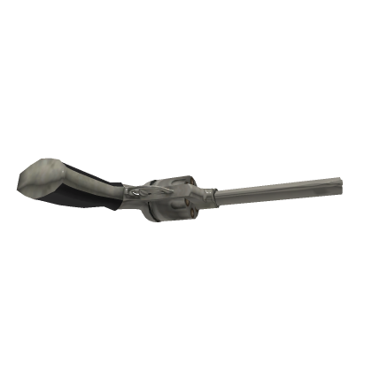 Sheriff gun