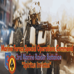 RBLX | 3rd Marine Raiders