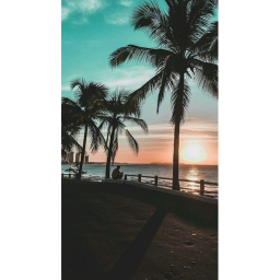 tropical hangout