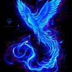 Blue Phoenix Unit