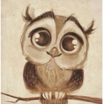the owls love