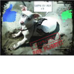 PUPPY LOVER!