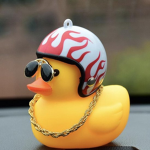 Homeless Duck