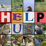 Help save the animals!
