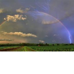 rainbow lightning squad