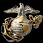 Navy SEALs/ USMC