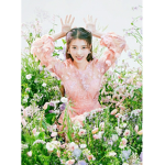 ## 그룹