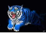 Tigerer Fan Group