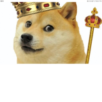 Dog church