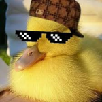 la mafia de los patos