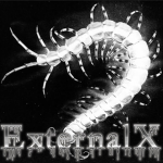 ExternalX