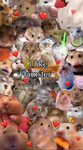 Mia und ihre fans