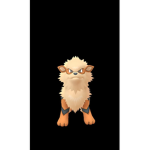 The Phoenix Pokemon Masters