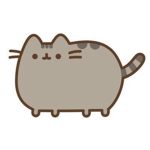 Cats-gato