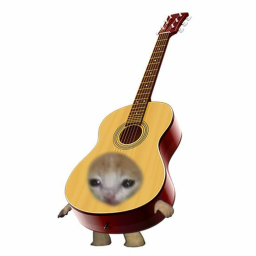 ⋆🐱°