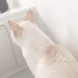 ○○○