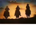 wyoming marines