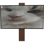 Cat Sign Shoulder Buddy