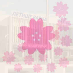 Bloom Airlines VAR-EAS