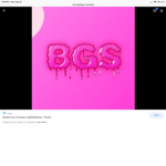 Bgs inc