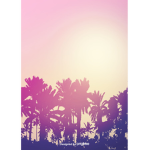 True Purple