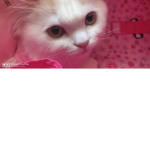 Lil annei