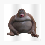 monke_cult