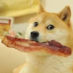 Doge group and hangout
