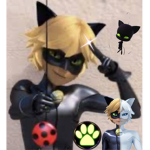 • Chat Noir Fan Page •