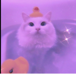 Purple Kittens!!