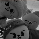 Feli's sans