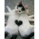 kitty_schoolfriend