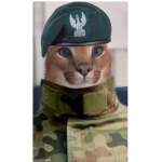 Floppa army help us get revenge