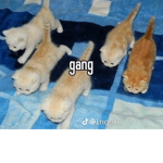 yooowhat