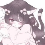 sowi Group Thumbnail